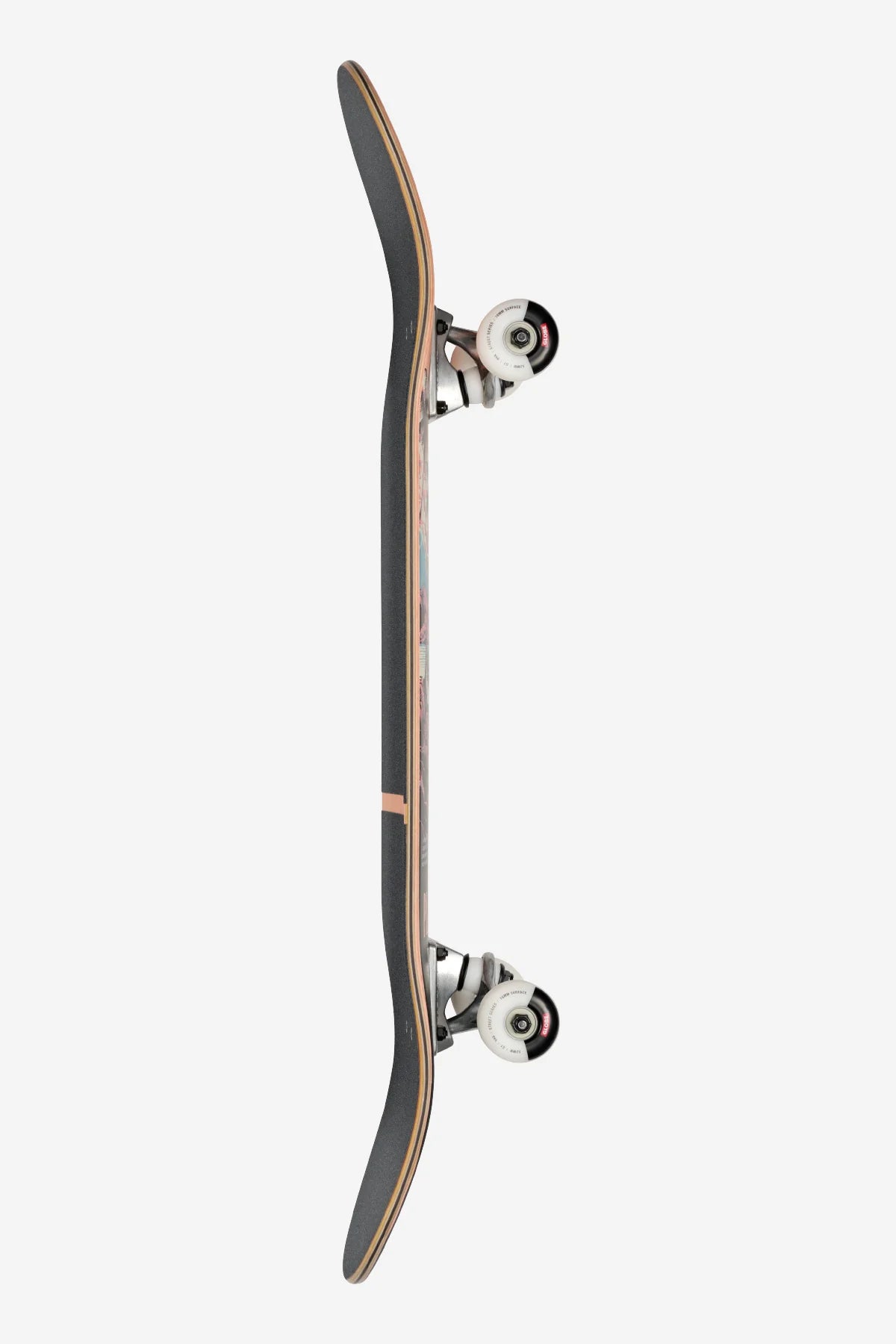 Planche Complète Globe G1 Visitation Terra Bay 8.25"