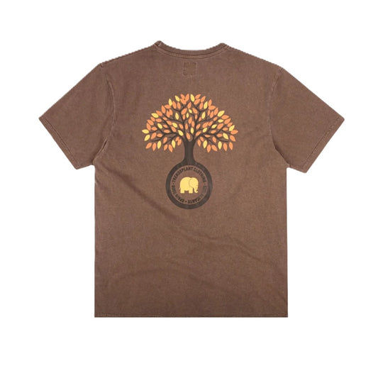 Tee Shirt Trendsplant Fafe Pigment Chestnut