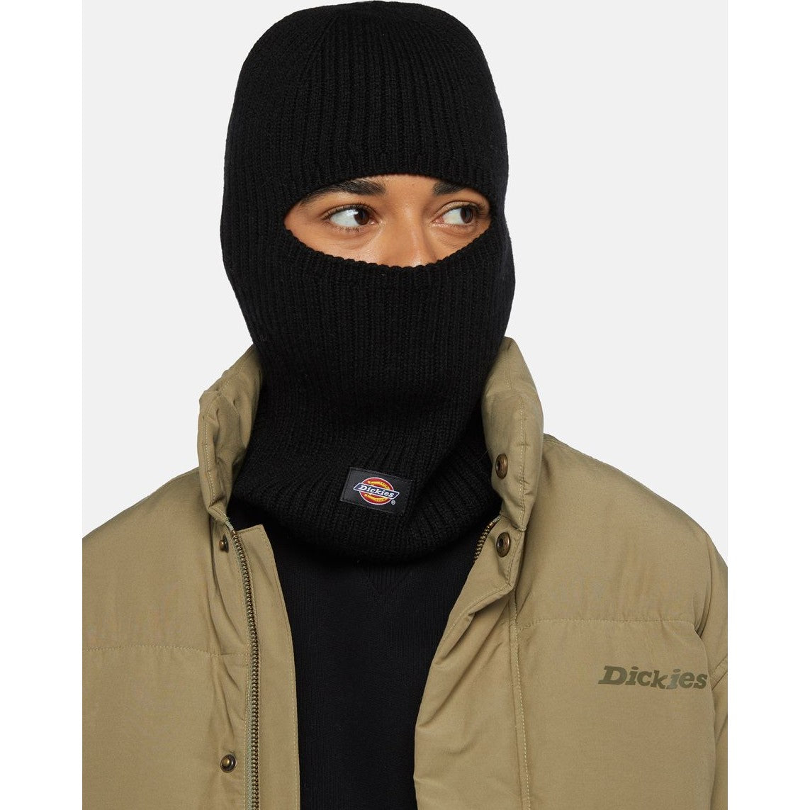 Cagoule Dickies RIB Black