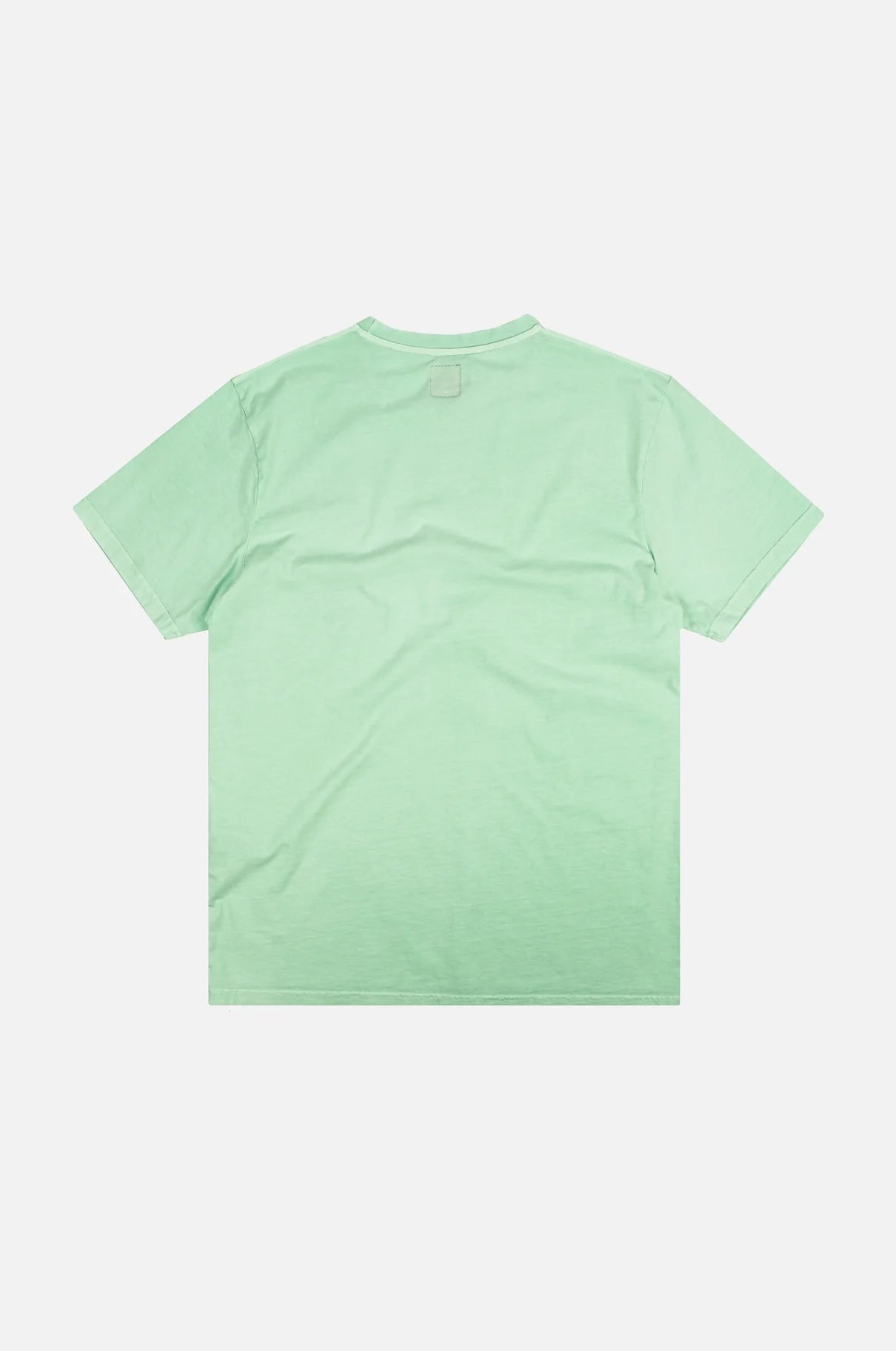 Tee Shirt Trendsplant Essential Pigment Dusty Aqua