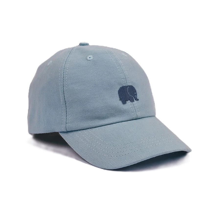 Casquette Trendsplant Logo Dad Sky Blue