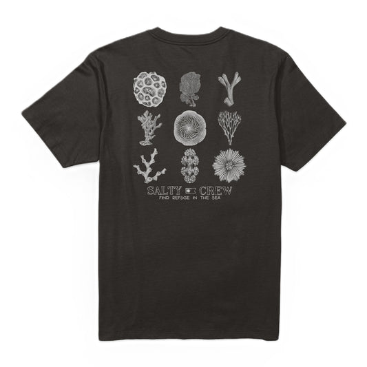 Tee-shirt Salty Crew Coral Head Black