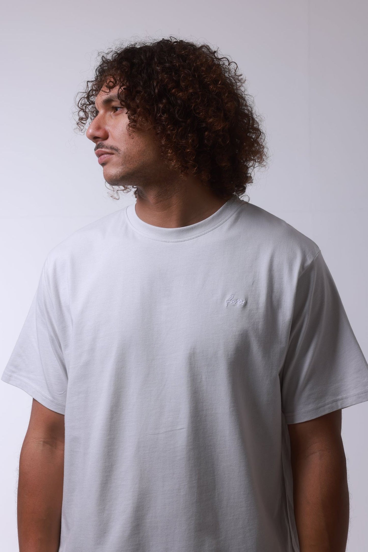 Tee-shirt Farci Shotgun Grey