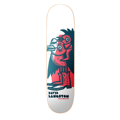 Planche Roger Skate Co Birds Of Feather David 8.25"