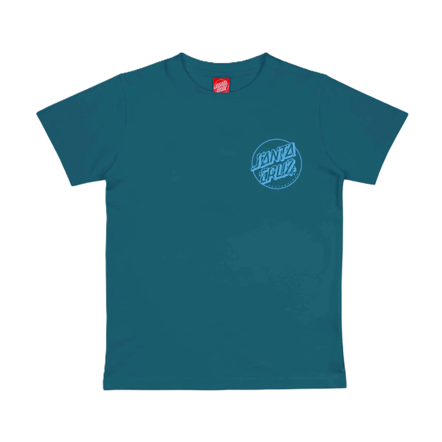 Tee-shirt Kid Santa Cruz Roskopp Screaming Five Teal