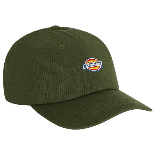 Casquette Dickies Hardwick Deep Depths