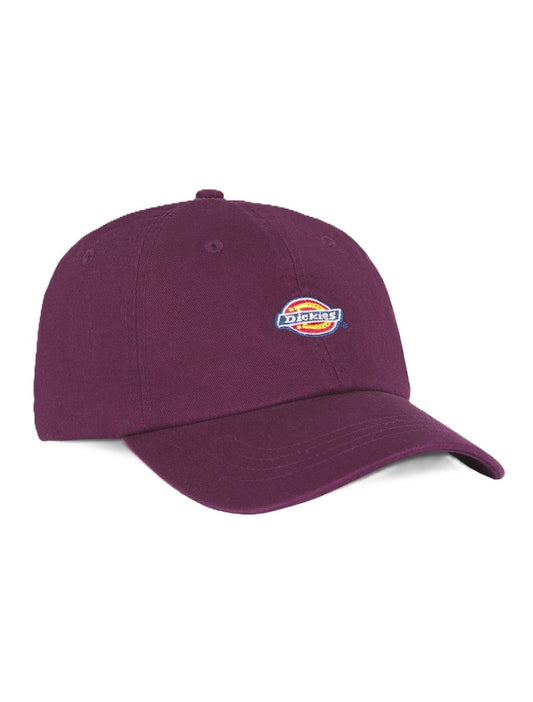 Casquette Dickies Hardwick Plume Perfect