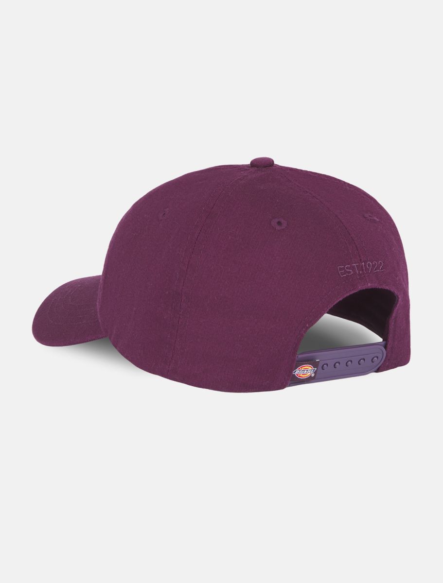 Casquette Dickies Hardwick Plume Perfect