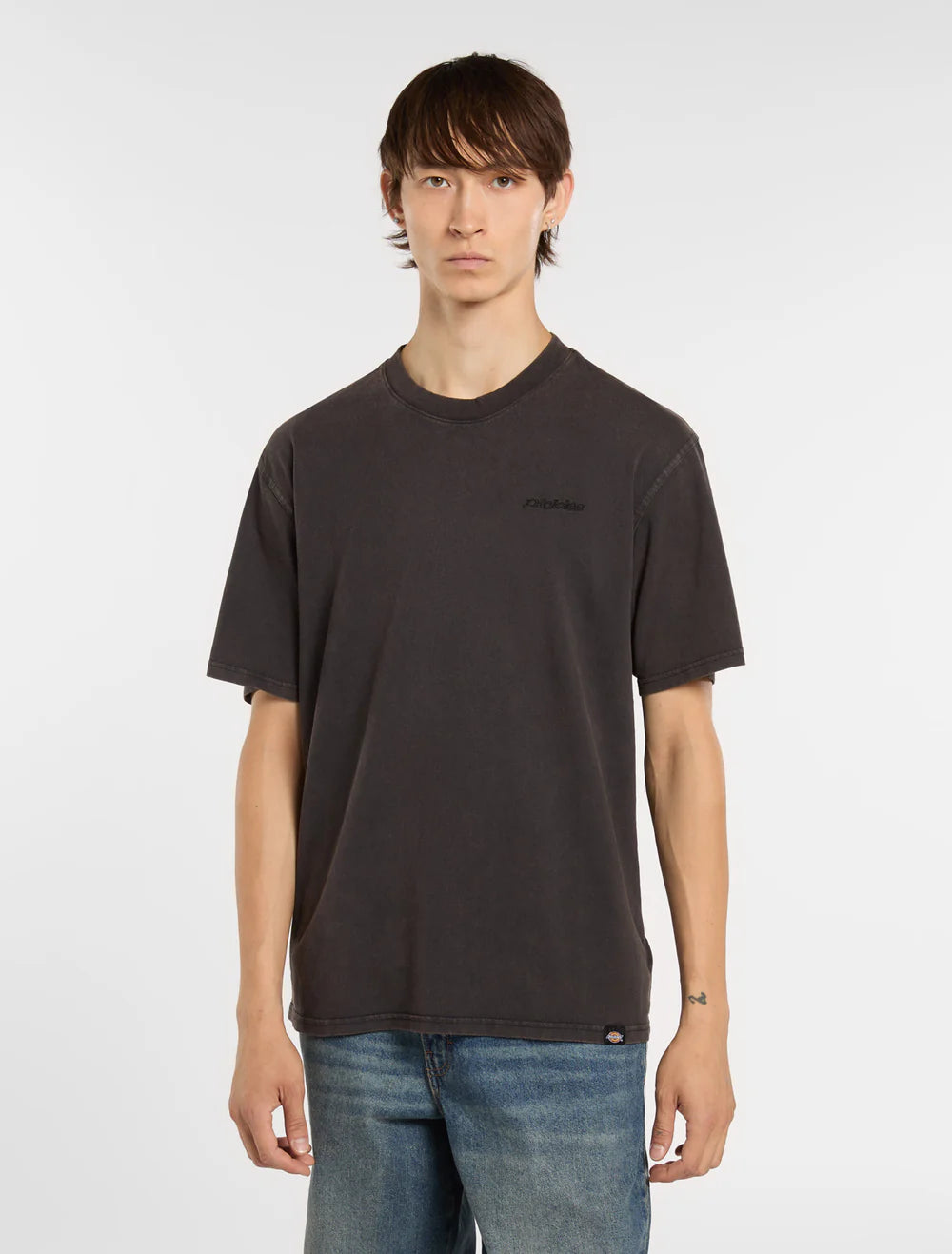 Tee-Shirt Dickies Plentywood Acid Black