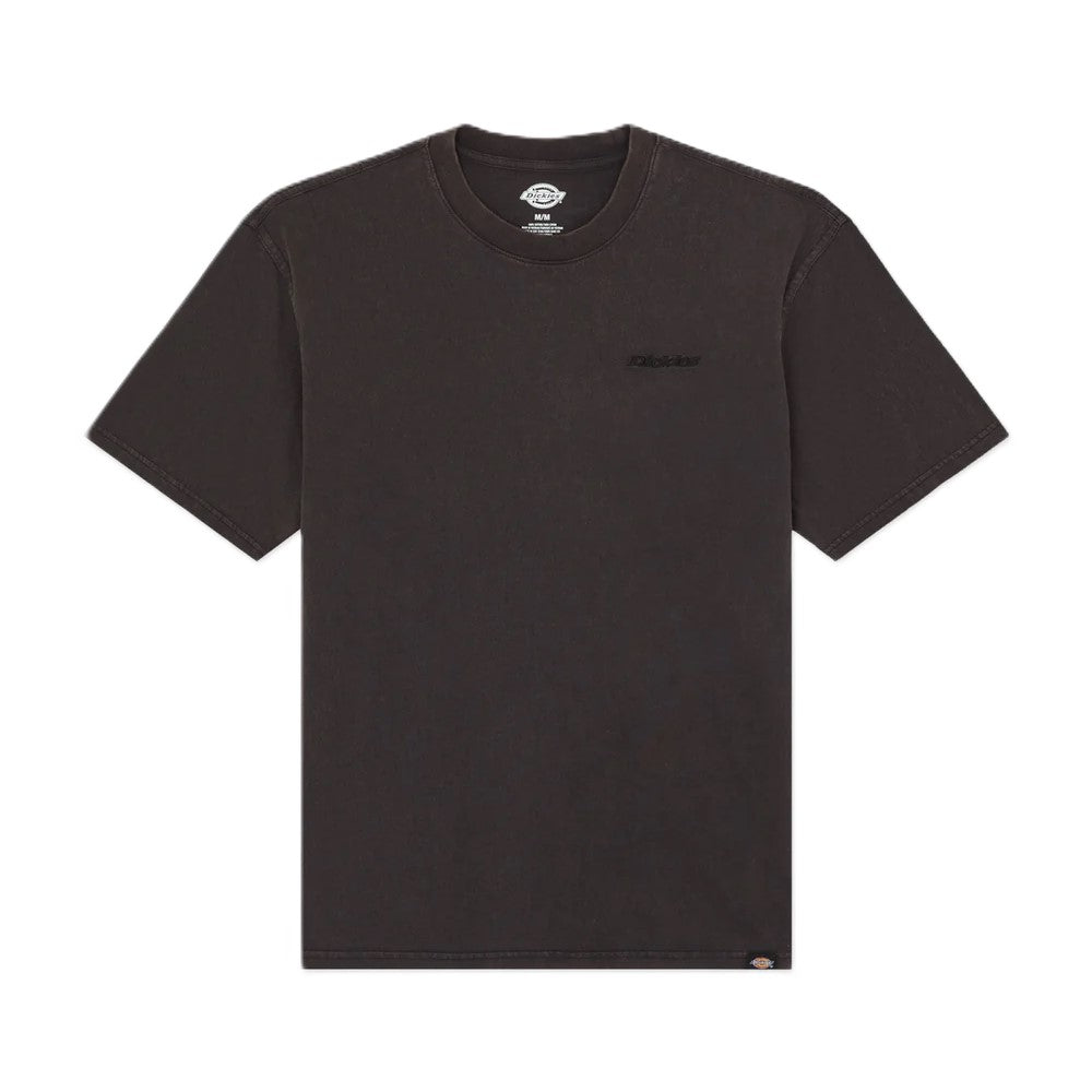 Tee-Shirt Dickies Plentywood Acid Black