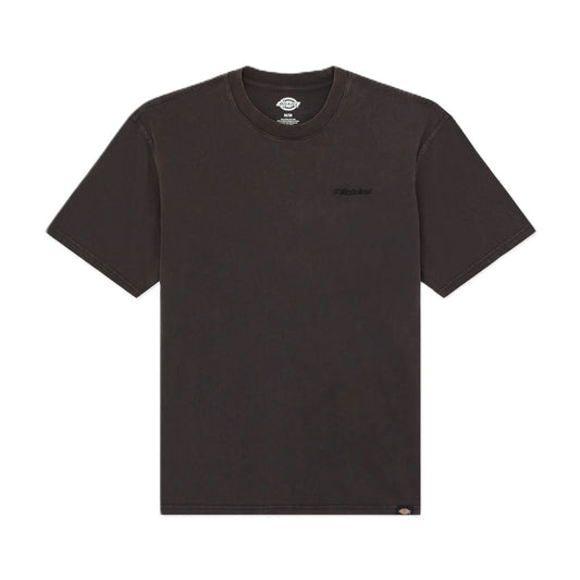 Tee-Shirt Dickies Plentywood Acid Black