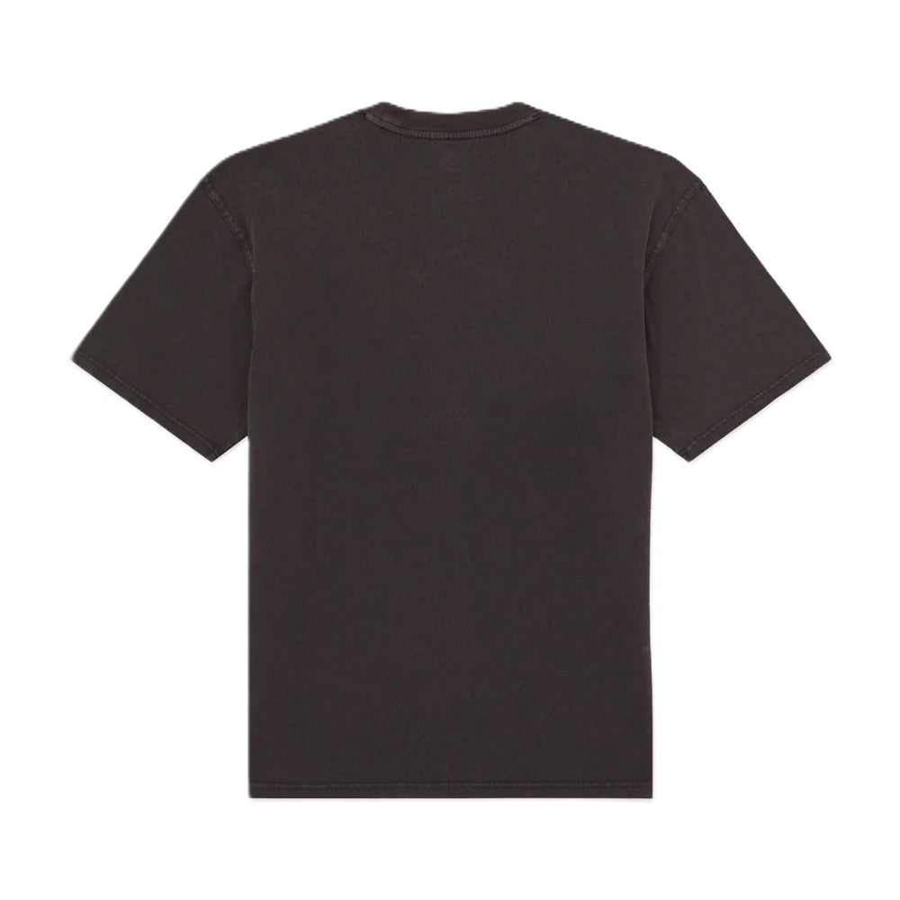 Tee-Shirt Dickies Plentywood Acid Black
