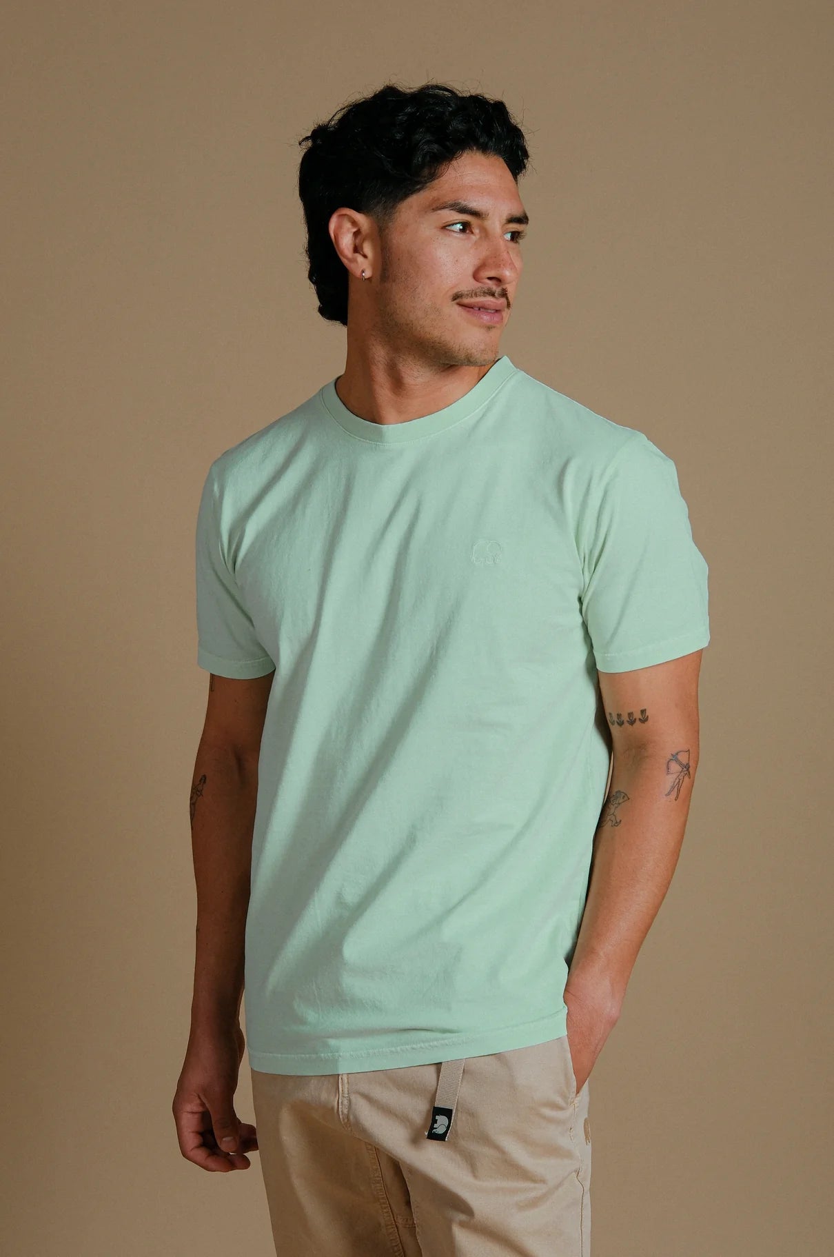 Tee Shirt Trendsplant Essential Pigment Dusty Aqua