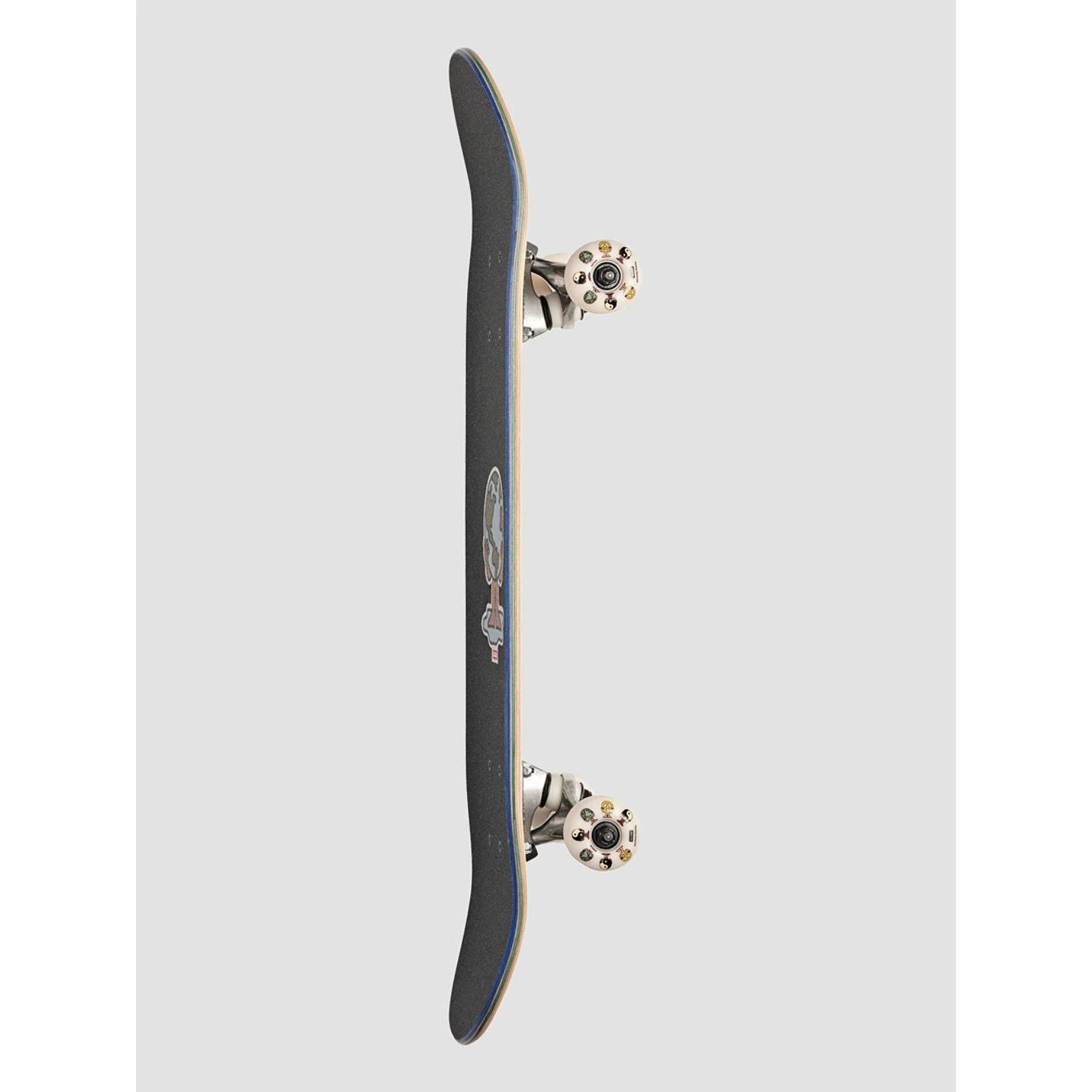 Planche Complète Globe Harmony Homies Kid 7"