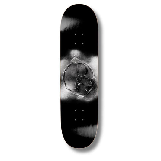 Planche Polar Team Stroke Logo Black 8.25"