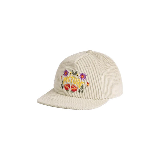 Casquette Picture Bubble Pure Cashemere