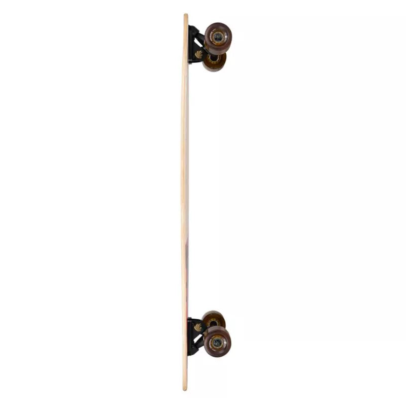 Longboard Arbor Groundswell Fish 37"