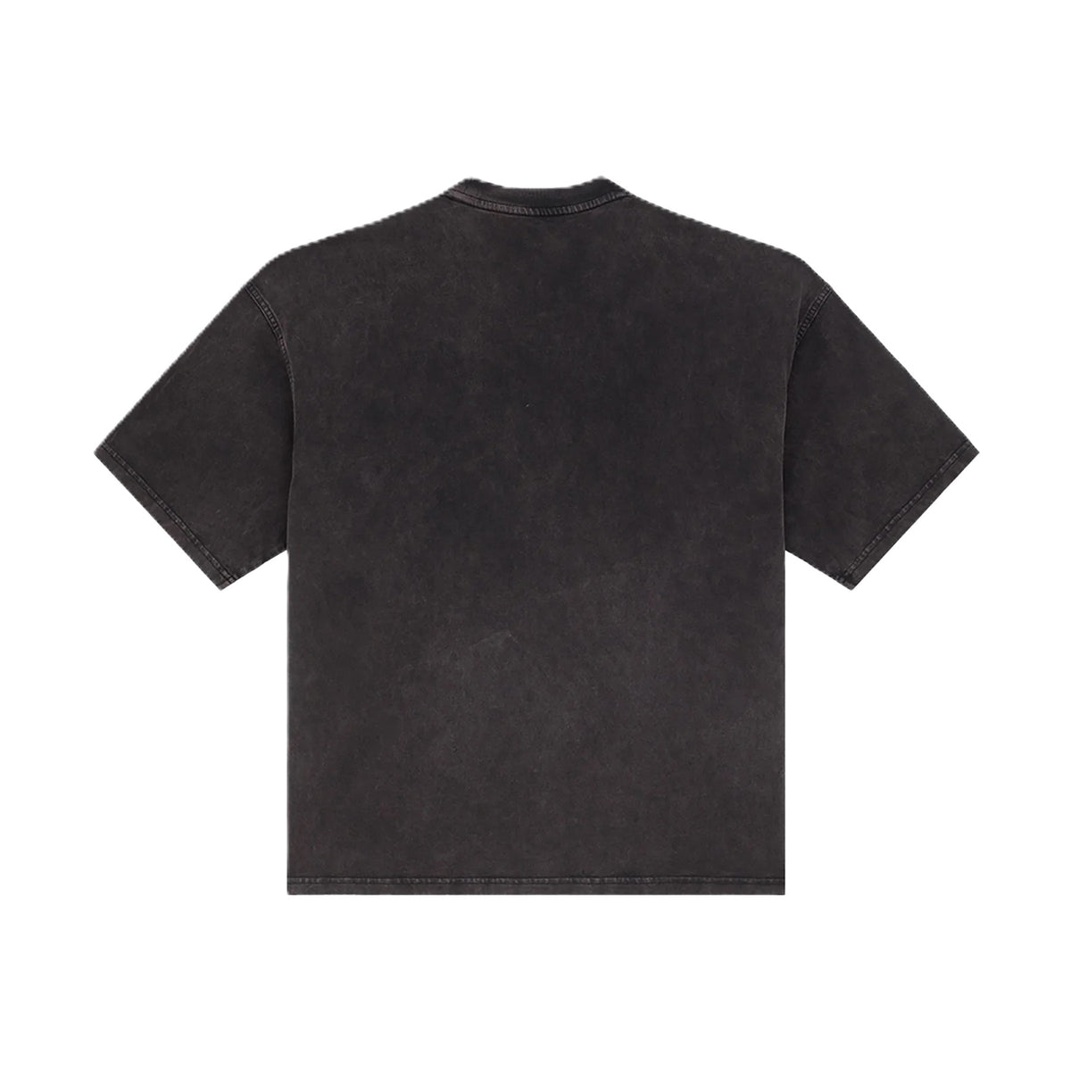 Tee-Shirt Dickies Baker Washed Black