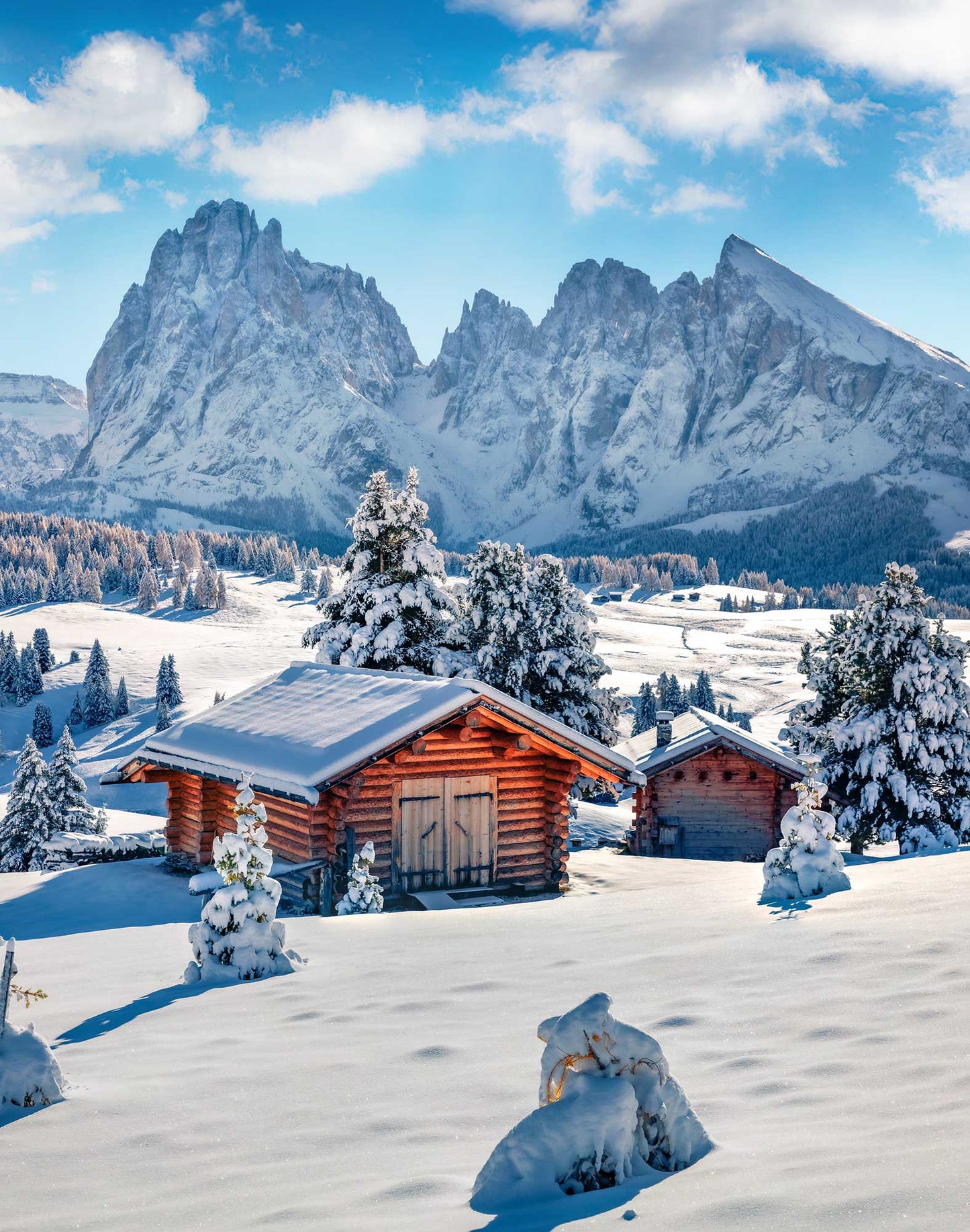 Boxer Long Pullin Fashion 2 Snowby